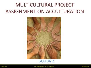 MULTICULTURAL PROJECT ASSIGNMENT ON ACCULTURATION