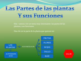 Las Partes de las plantas Y sus Funciones