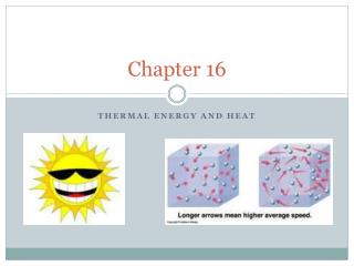 Chapter 16