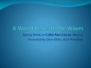 A World Beneath the Waves