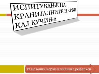 Испитување на кранијалните нерви кај кучиња