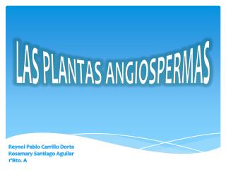 Las Plantas Angiospermas