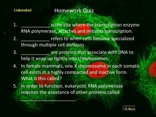 Homework Quiz