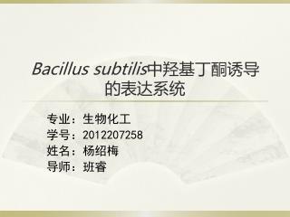 Bacillus subtilis 中羟基 丁酮 诱导 的 表达 系统