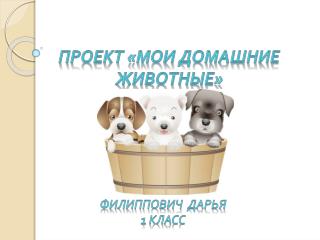 Проект «мои домашние Животные»