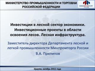 Заместитель директора Департамента лесной и легкой промышленности Минпромторга России