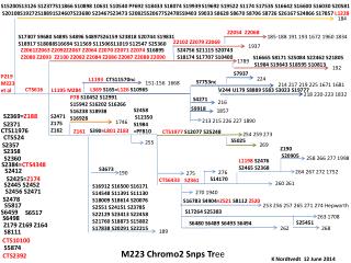 M223 Chromo2 Snps Tr ee