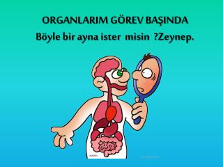 ORGANLARIM GÖREV BAŞINDA Böyle bir ayna ister misin ?Zeynep.