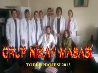 TODUP PROJESİ 2013