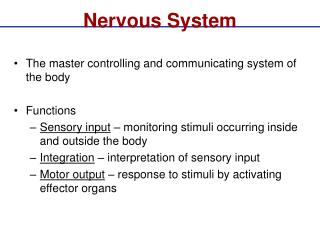 Nervous System