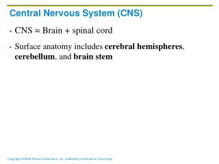 Central Nervous System (CNS)