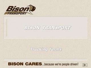BISON TRANSPORT