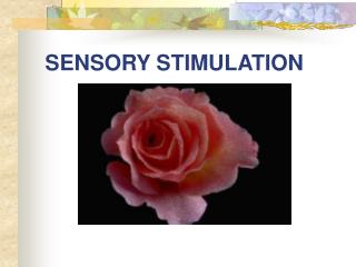 SENSORY STIMULATION