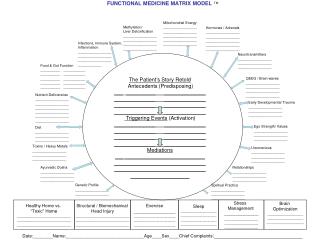 FUNCTIONAL MEDICINE MATRIX MODEL TM