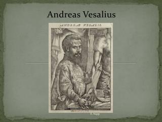 Andreas Vesalius