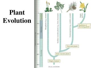 Plant Evolution