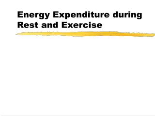 Energy Expenditure during Rest and Exercise
