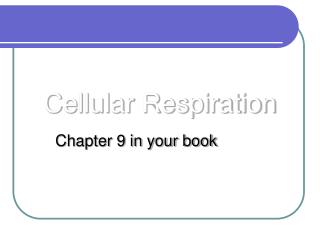 Cellular Respiration