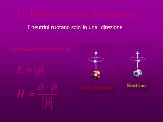 La Polarizzazione dei neutrini