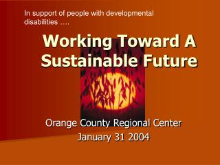 Working Toward A Sustainable Future