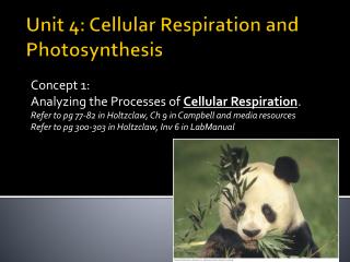 Unit 4: Cellular Respiration and Photosynthesis