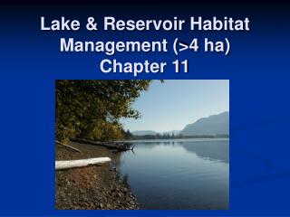 Lake &amp; Reservoir Habitat Management (&gt;4 ha) Chapter 11