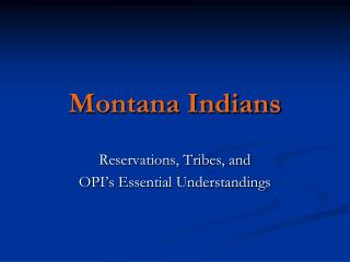 Montana Indians