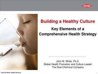 Building a Healthy Culture Key Elements of a Comprehensive Health Strategy