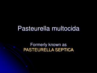 Pasteurella multocida