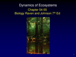 Dynamics of Ecosystems