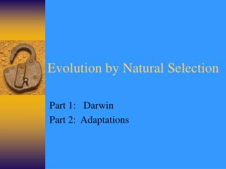 Evolution by Natural Selection