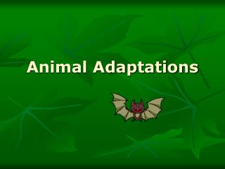 Animal Adaptations