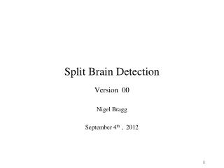 Split Brain Detection Version 00