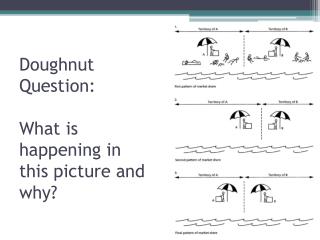 Doughnut Question: What is happening in this picture and why?