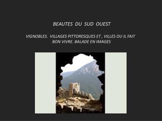 BEAUTES DU SUD OUEST VIGNOBLES. VILLAGES PITTORESQUES ET , VILLES OU IL FAIT