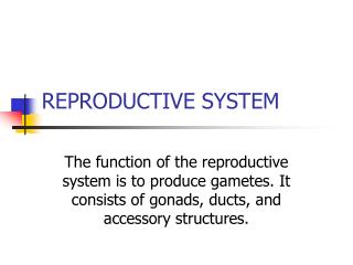 REPRODUCTIVE SYSTEM