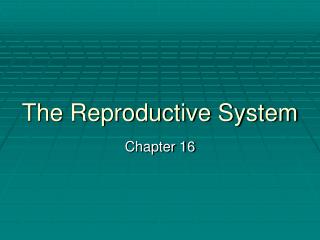 The Reproductive System
