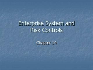 Enterprise System and Risk Controls