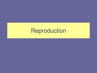 Reproduction