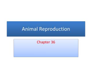 Animal Reproduction