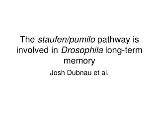 The staufen/pumilo pathway is involved in Drosophila long-term memory