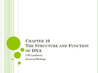 Chapter 10 The Structure and Function of DNA