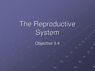 The Reproductive System