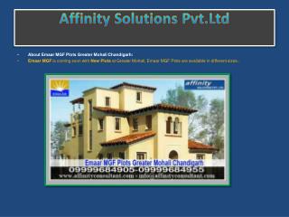 Affinity Solutions Pvt.Ltd