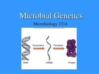 Microbial Genetics