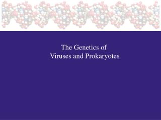 The Genetics of Viruses and Prokaryotes