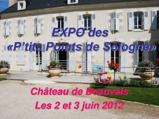 EXPO des «P’tits Points de Sologne»