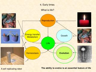 4. Early times
