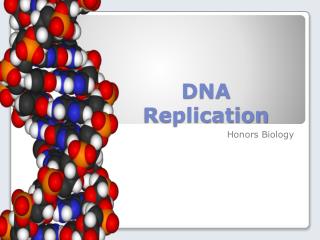 DNA Replication