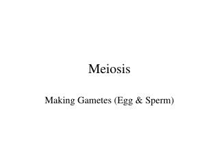 Meiosis